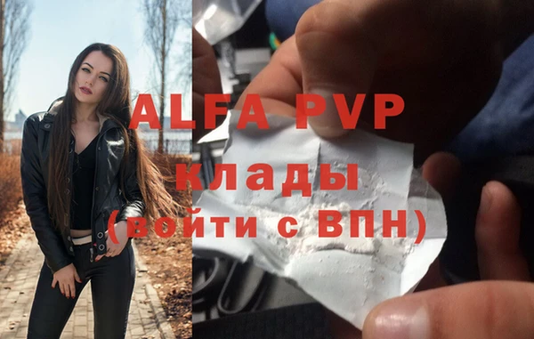 стаф Абаза